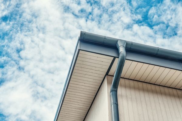 Gutter Fascia Repair in Marion